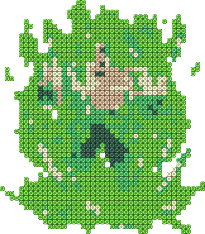 Broly 4