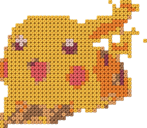 Raichu 17