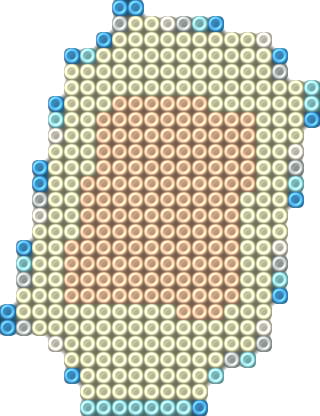 Generic Items