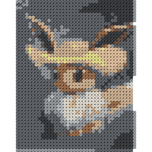 Pokemon portrait