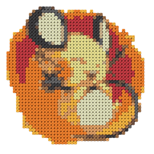 Raichu 4