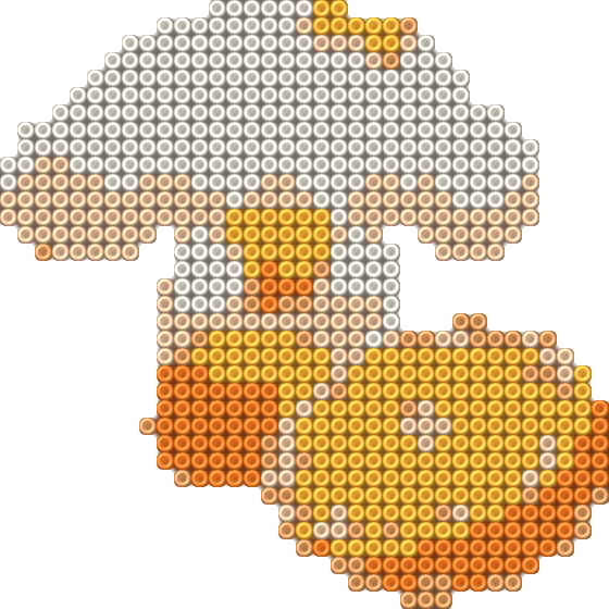 Pompompurin 15