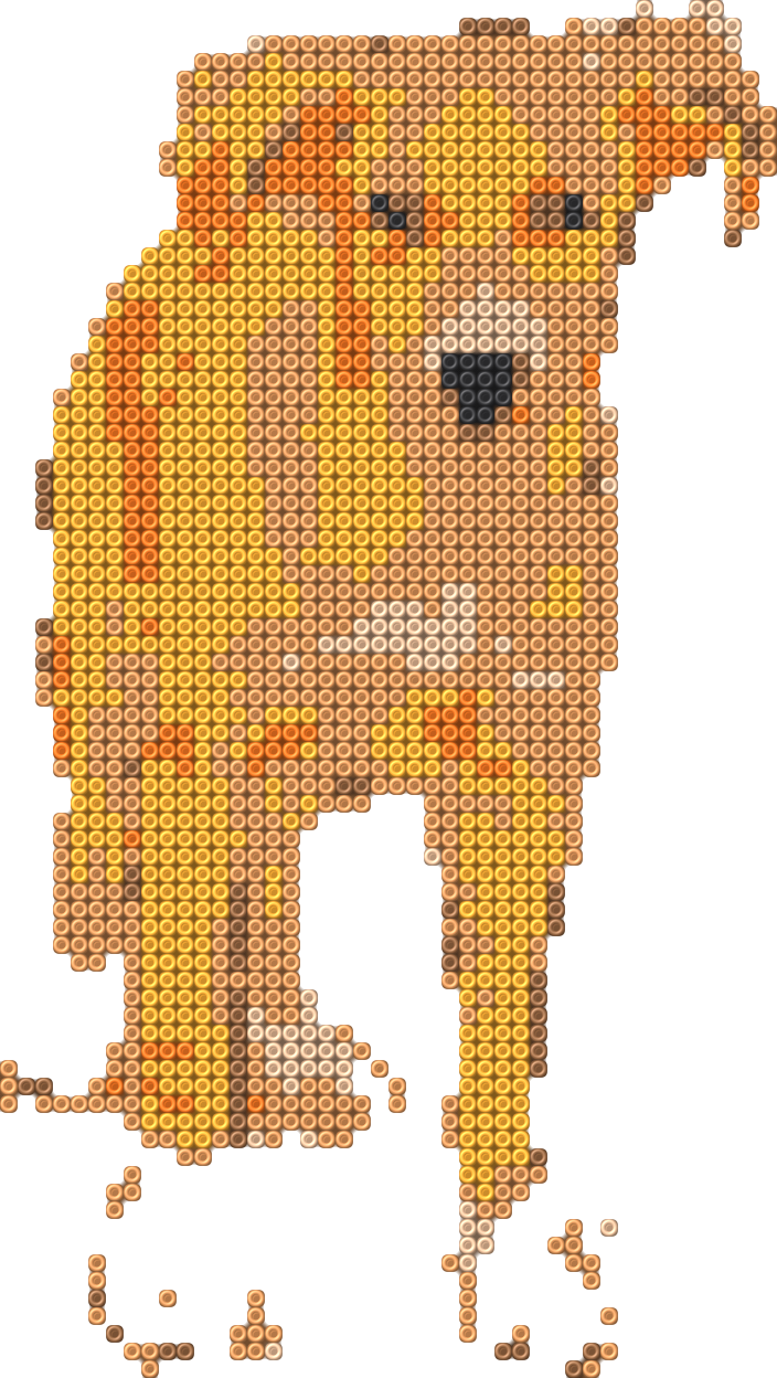 Blaze 10