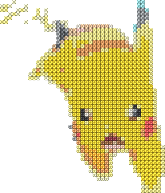 Raichu 19