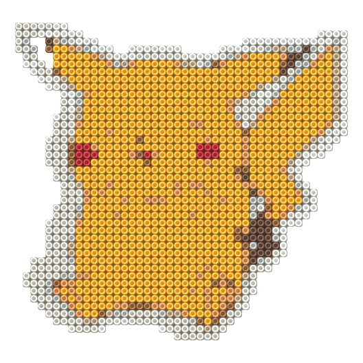 Raichu 9