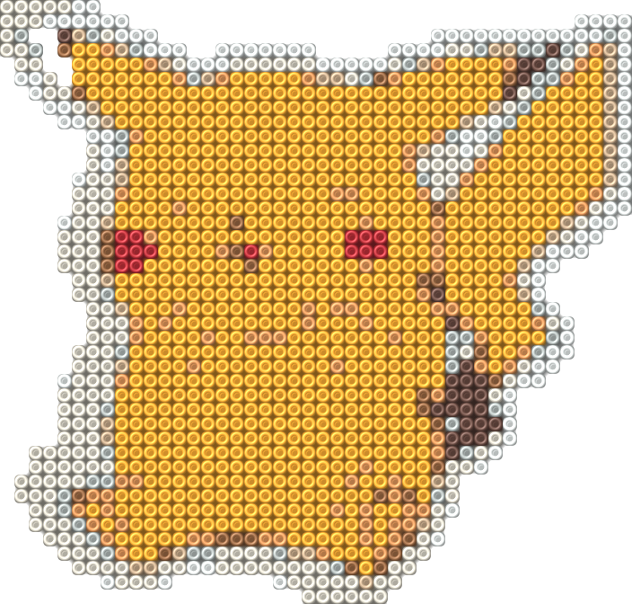Raichu 9