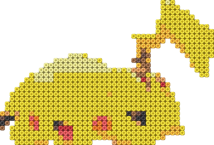 Raichu 14