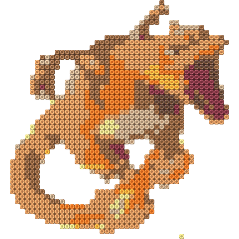 Charizard 7